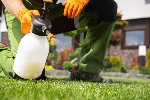 Reliable West Conshohocken, PA Pest Control Solutions