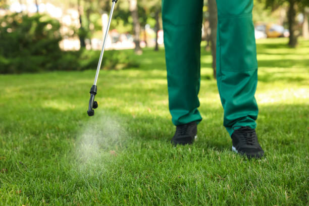 Best Local Pest Control Services  in West Conshohocken, PA