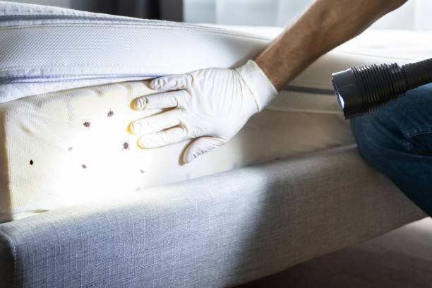 Best Mosquito Control Services  in West Conshohocken, PA