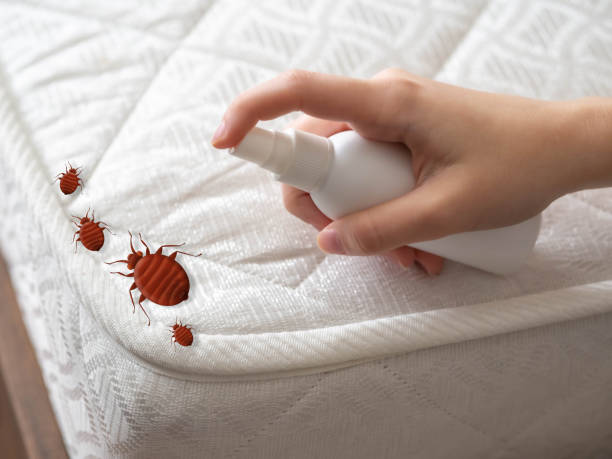 Best Insect Control  in West Conshohocken, PA